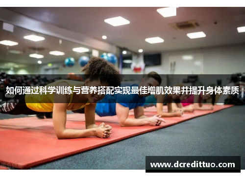 如何通过科学训练与营养搭配实现最佳增肌效果并提升身体素质