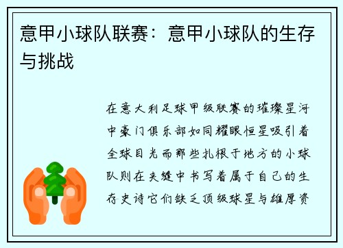 意甲小球队联赛：意甲小球队的生存与挑战