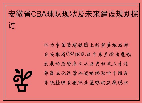 安徽省CBA球队现状及未来建设规划探讨